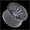 VORTEX VRT-608 MATTE TITANIUM WITH BLACK BEAD RING 20X12 5X127/5X5.5 -44 +78.1 *NC*