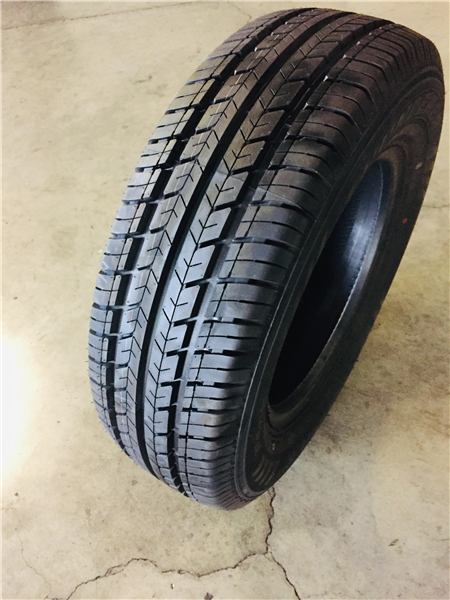 205R14C 8PR THUNDERER RANGER R101 109/107P BSW